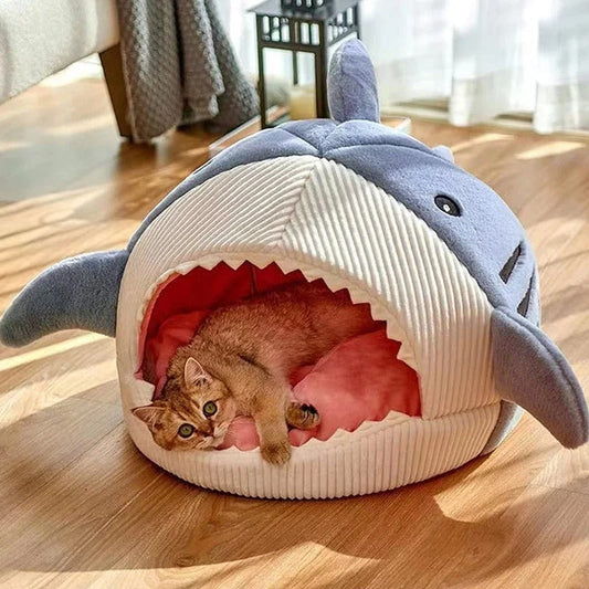 Luxury Pet Shark Bed on wooden floor with brown cat laying inside 