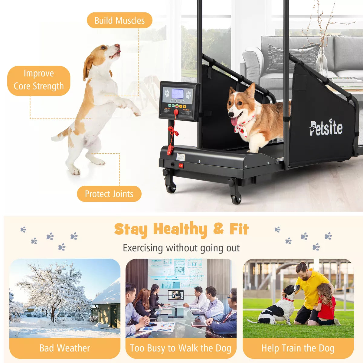 Costway Dog Treadmill for Small/Medium Dogs Indoors Pet Running Training Machine