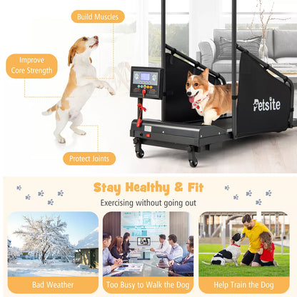 Costway Dog Treadmill for Small/Medium Dogs Indoors Pet Running Training Machine