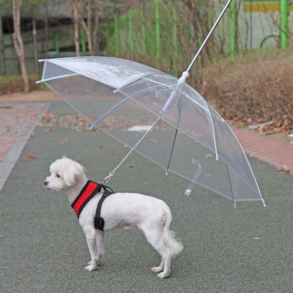Teddy Poodle & Small Dog Waterproof Umbrella with Built-in Leash Hook – Durable Lightweight Pet Rain Poncho for Walking, Traveling, and Outdoor Protection