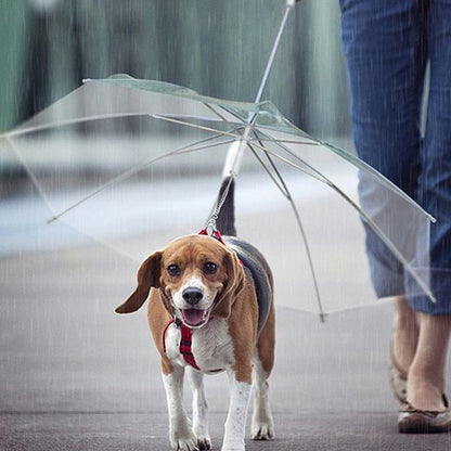 Teddy Poodle & Small Dog Waterproof Umbrella with Built-in Leash Hook – Durable Lightweight Pet Rain Poncho for Walking, Traveling, and Outdoor Protection