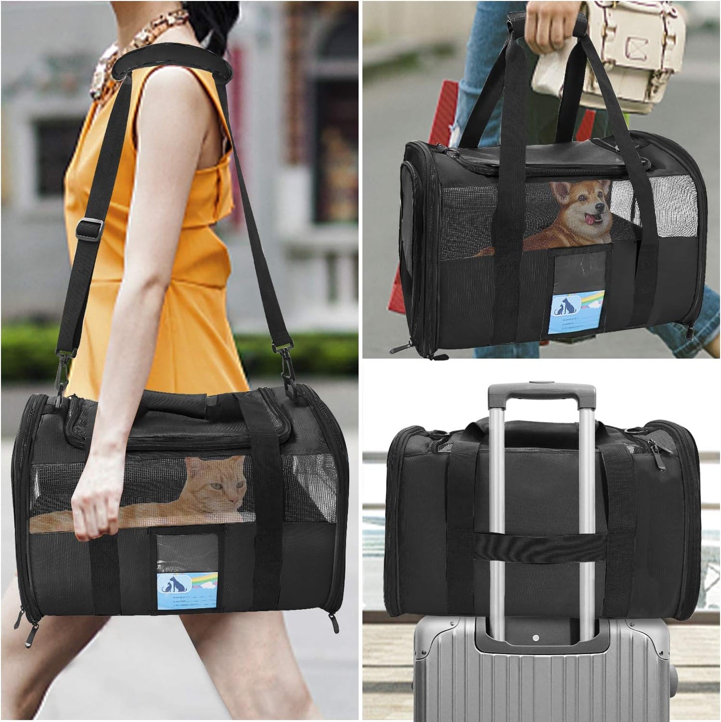 Airline-Approved Pet Carrier for Cats & Small Dogs - 15 lbs, Black, Soft & Collapsible