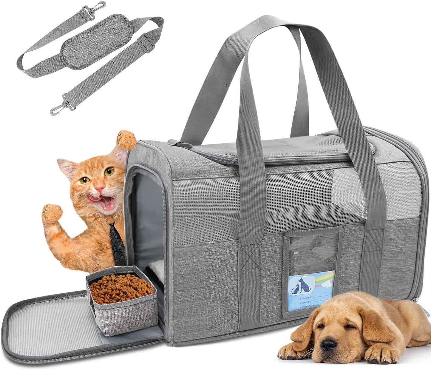 Airline-Approved Pet Carrier for Cats & Small Dogs - 15 lbs, Black, Soft & Collapsible