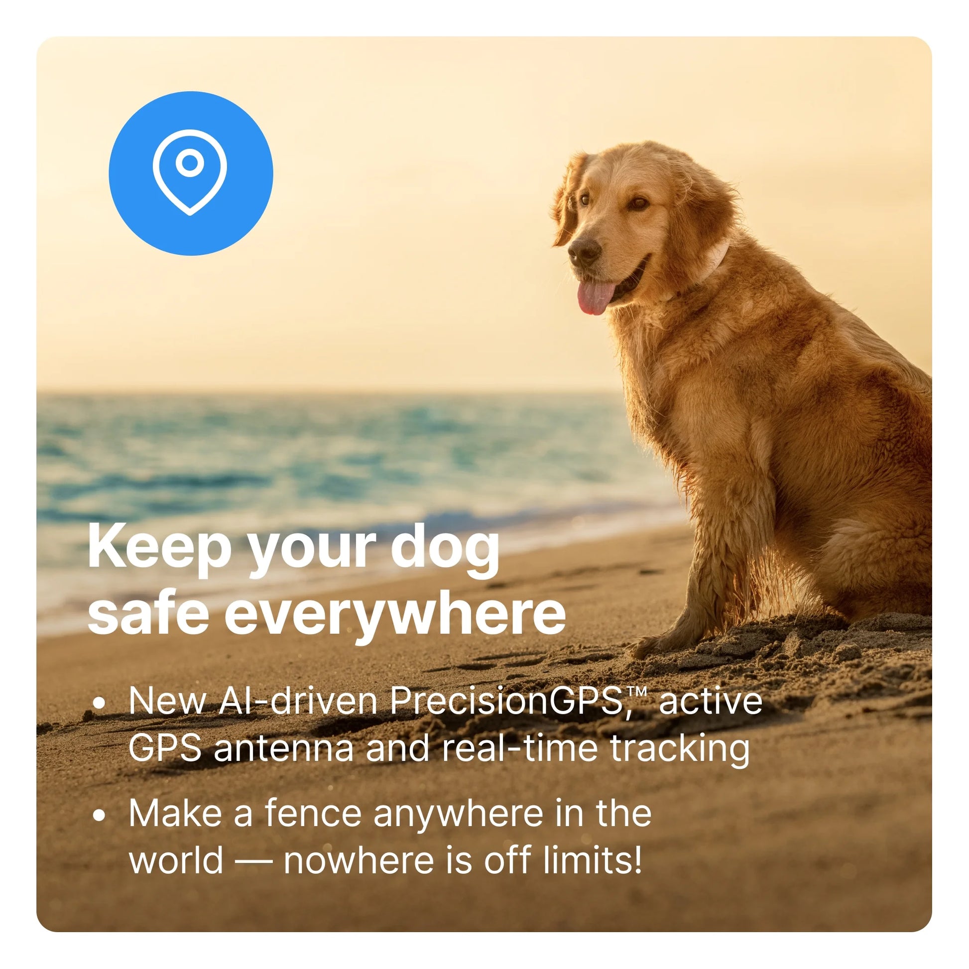 3 - Wireless GPS Dog Fence & Training Collar with Real-Time Tracking, Sunburst, Small